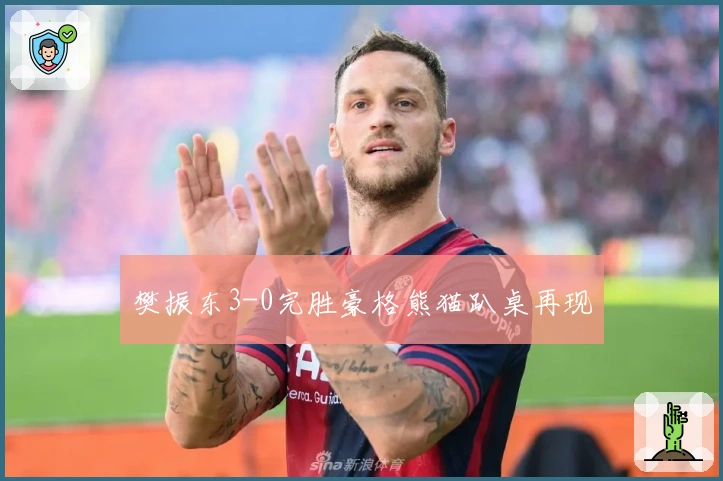 樊振东3-0完胜豪格熊猫趴桌再现