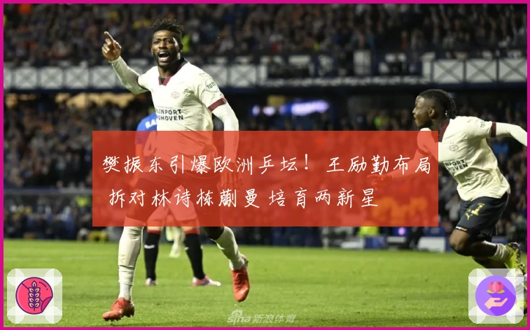 樊振东引爆欧洲乒坛！王励勤布局 拆对林诗栋蒯曼 培育两新星